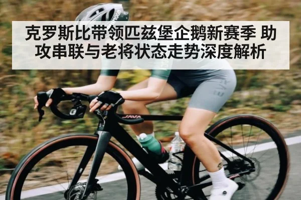 克罗斯比带领匹兹堡企鹅新赛季 助攻串联与老将状态走势深度解析
